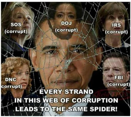 FB_IMG_1731426266190