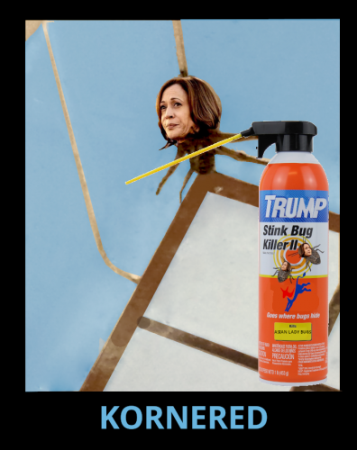 KAMALA KORNERED