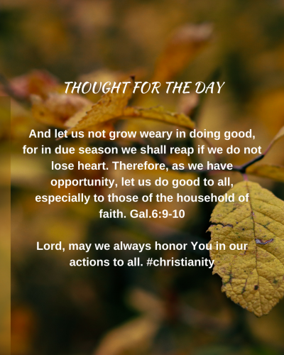 TWEET 11-21-24