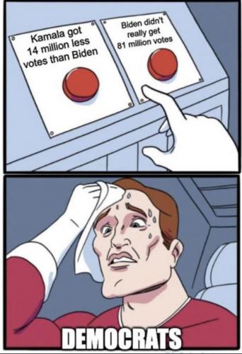 Dem diff votes