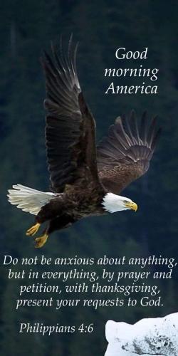 Eagle_Morning