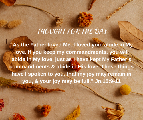 TWEET 11-29-24