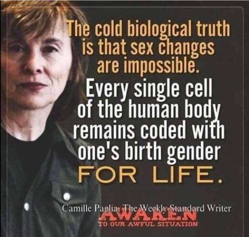 465147394_580672071079774_1047382939034518463_n