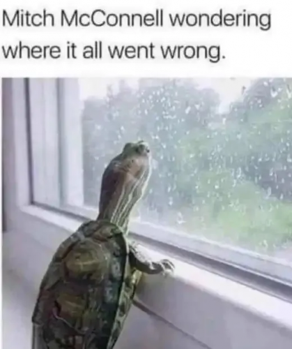 3fc1ab4b0a0dea10