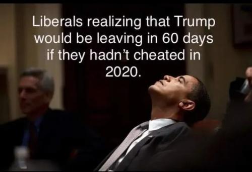 1000050391