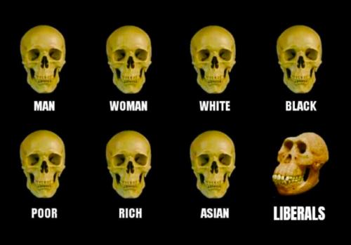 liberals
