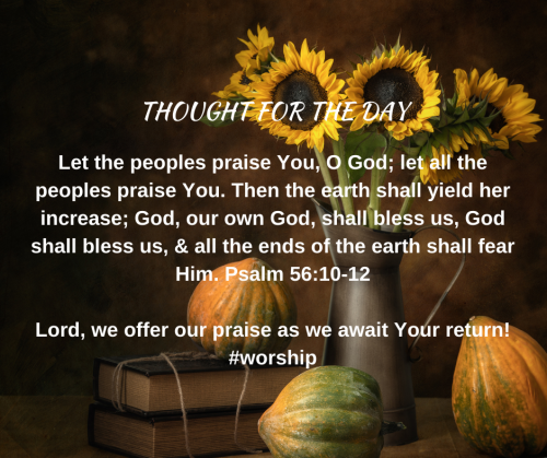TWEET 11-25-24