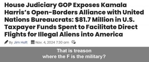 Dems  invasion