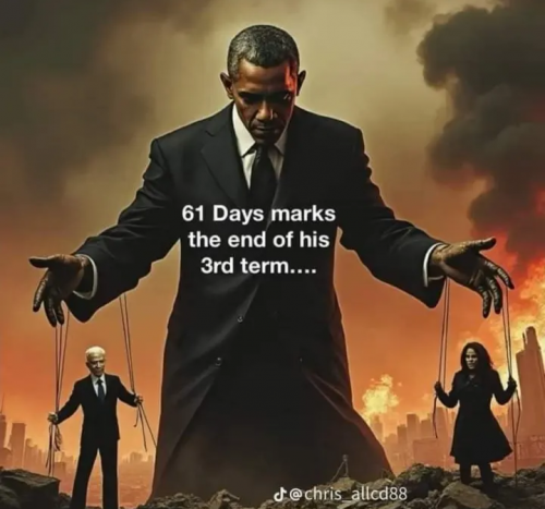 1000017447