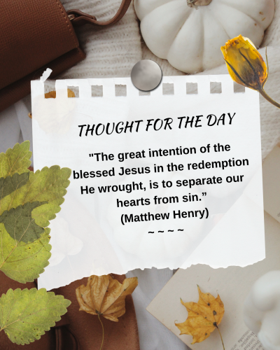 FB THOUGHT FOR THE DAY 11-23-24
