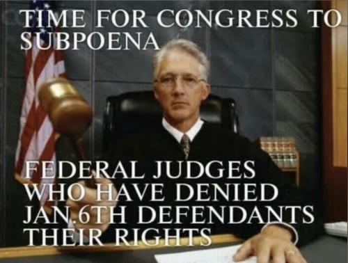 J6 Fed judges