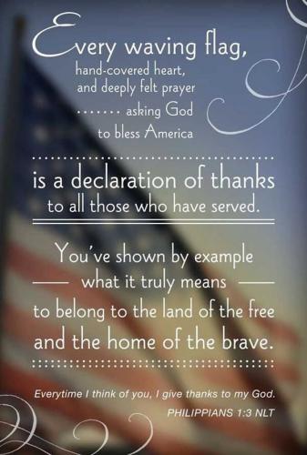 Veteran's Day - Every waving flag...