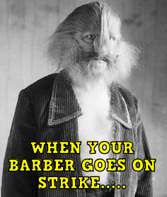 wybgos