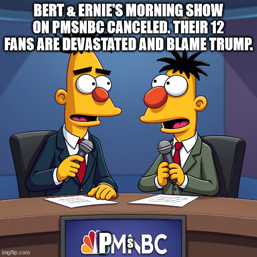 pmsnbc-goes-bust