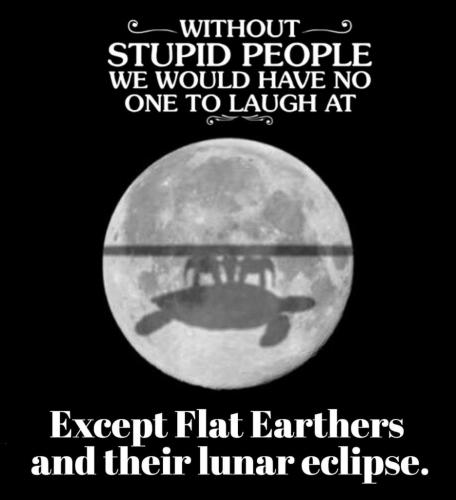 Ever wonder why God created Flat Earthers.960px