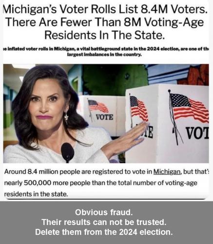 MI more voters than people 1
