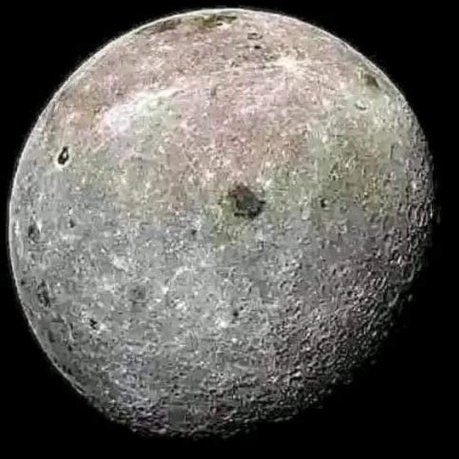1000021526