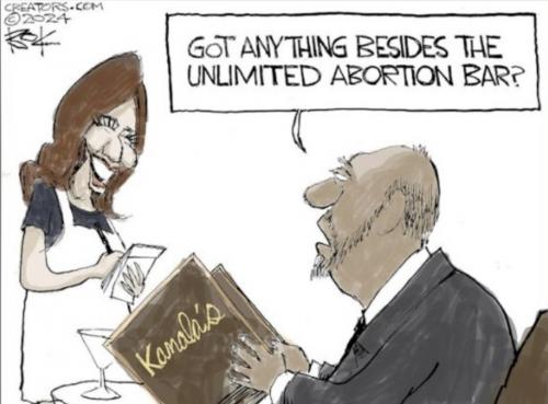 Dem abortion only