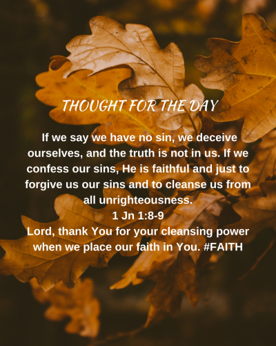 TWEET 11-22-24