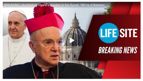 Archbishop Vigano screenshot