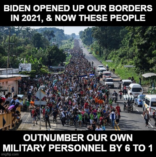 bidens boarder crises 55