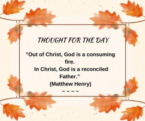 TWEET 11-30-24
