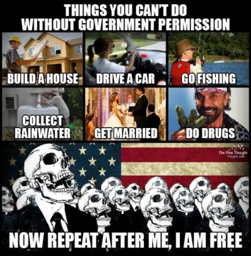 1000017221