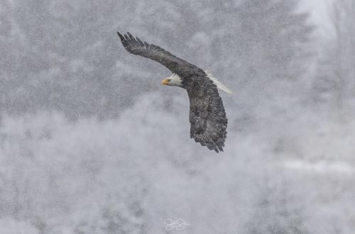 466112122_122151110444317042_6186062070777356403_n