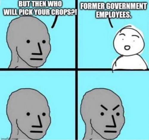 1000051008
