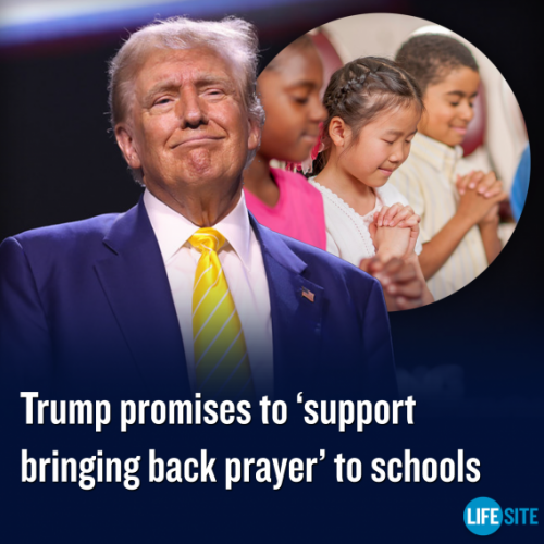 thank you trump 78