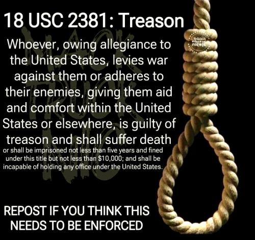 Treason ~18 USC 2381~