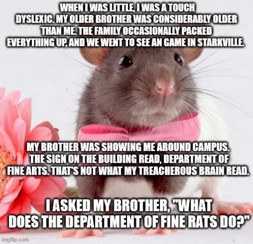 dept-of-fine-rats