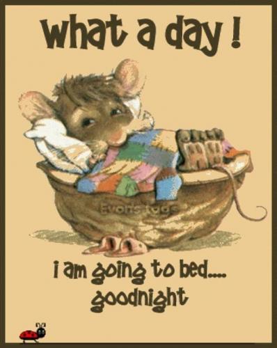 Good Night 5 - I am going to bed