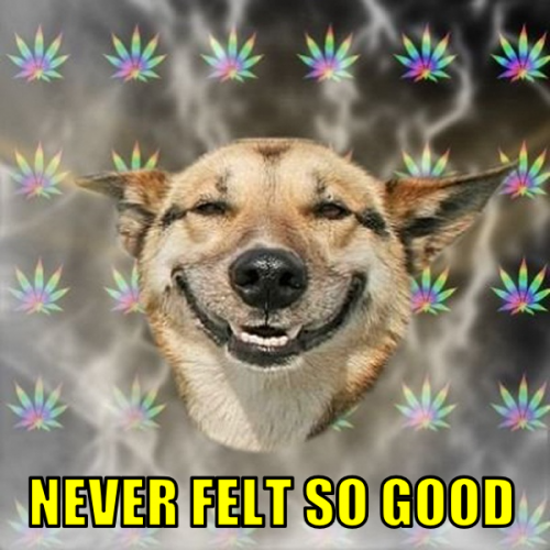 nfsg