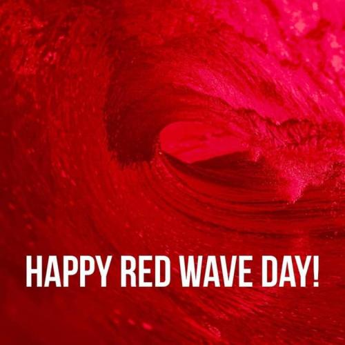 FB_IMG_1731079847942