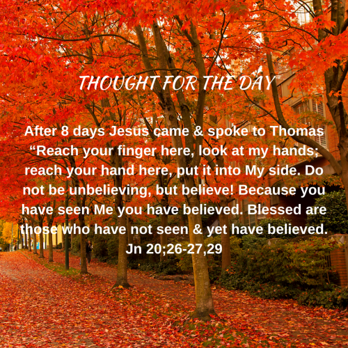 TWEET 11-15-24