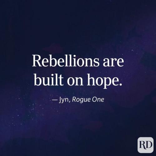 rebellions are built of