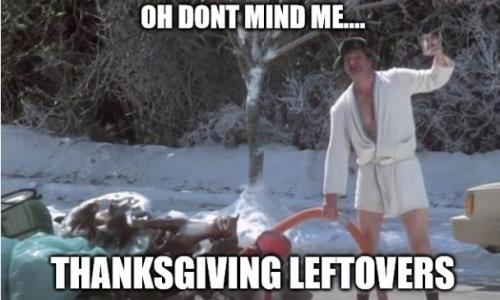 bidenthanksgivingleftoverswcap