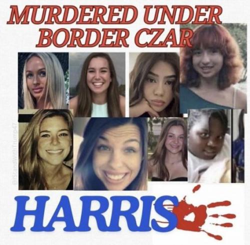 harris and walz 131