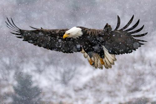 466422653_122151110552317042_8497702123181198544_n