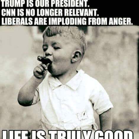 FB_IMG_1731426065997