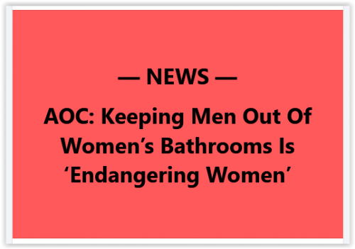 Screen Shot 11-23-24 at 06.03 AM