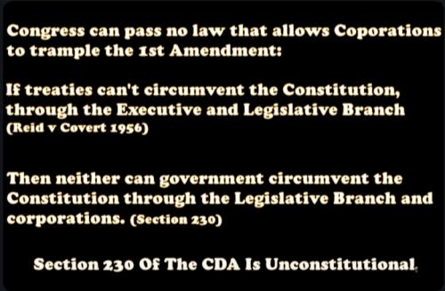Corporations vs Constitution