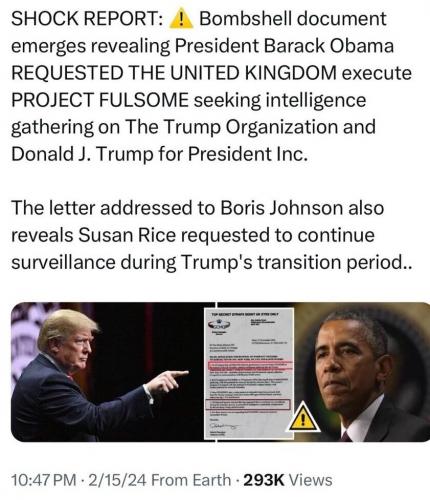 SCHOCK REPORT  GETTR