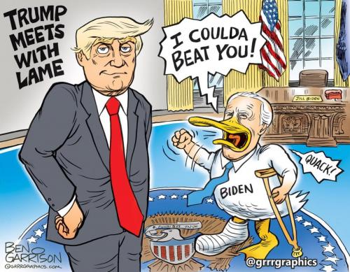 Lame Duck