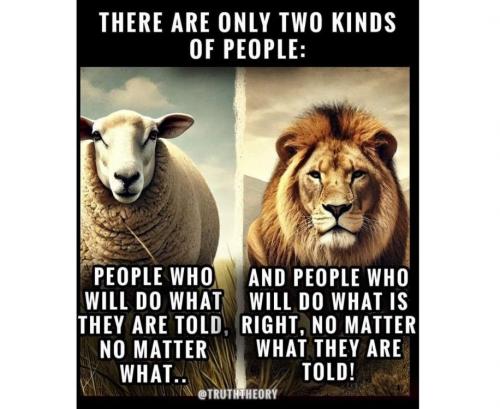 SheepLion