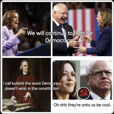 harris and walz 175