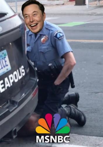 Who did this elon