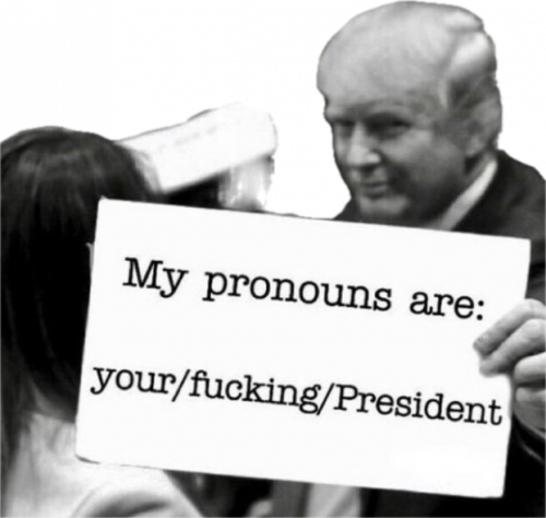 Trump Pronouns, Election 2024 -- Your Fucking President
