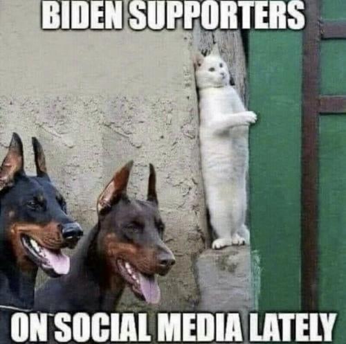 Biden supporters on SM